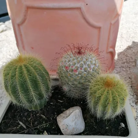 Apartment Gf Mobilehomes Kroatien