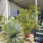 Gf Mobilehomes Kroatien