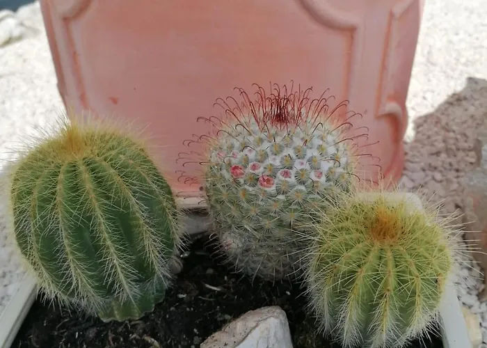 Apartmán Gf Mobilehomes Kroatien